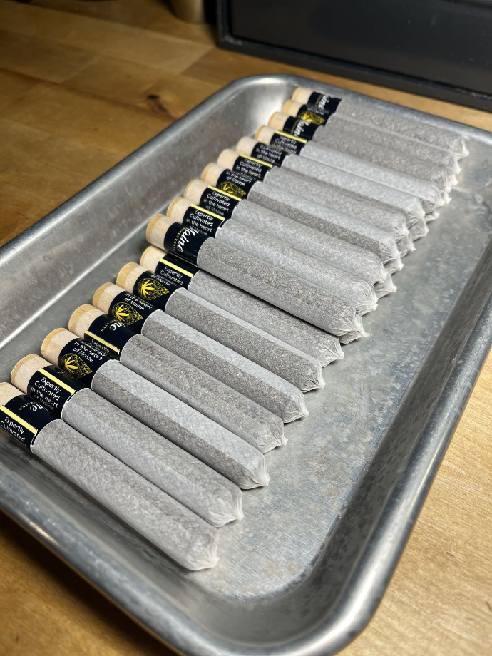 Maine Concentrates Preroll